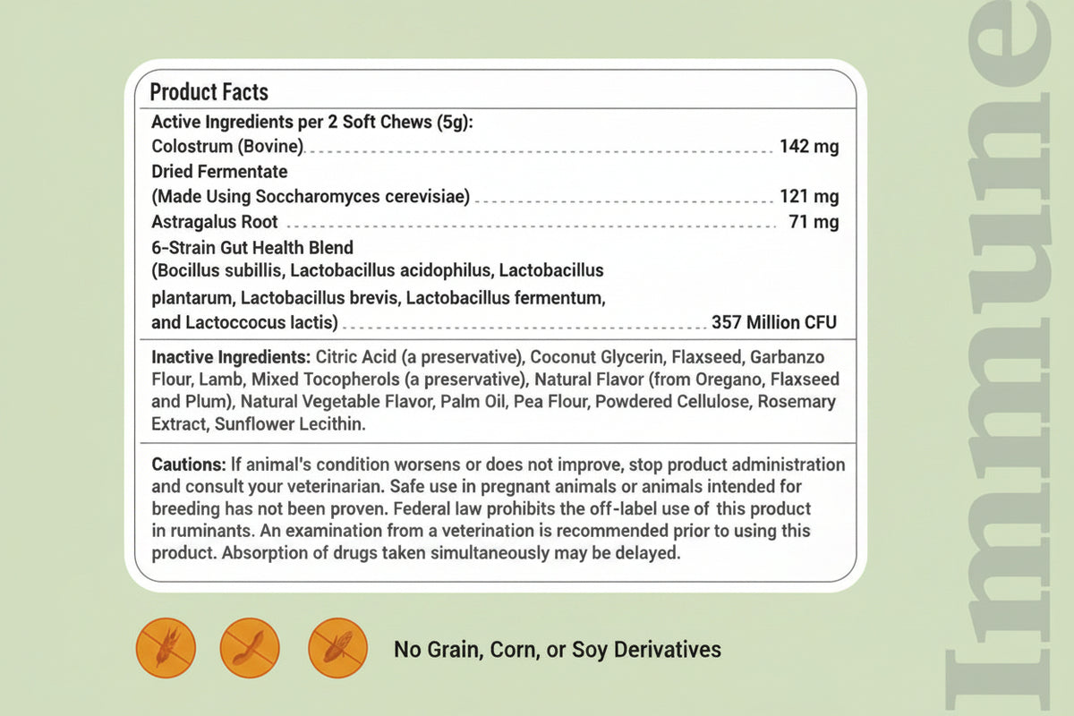 Probiotic Soft Chews for Dogs – 120 Count