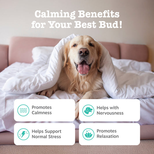 Advanced Calming Chews