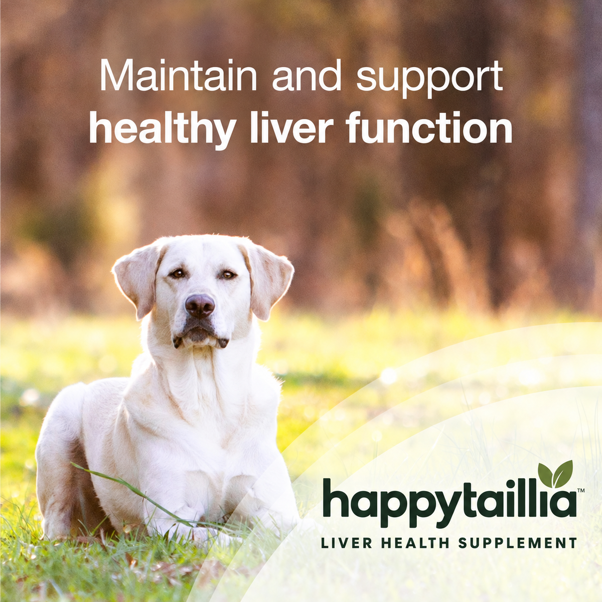 Daily Liver Support