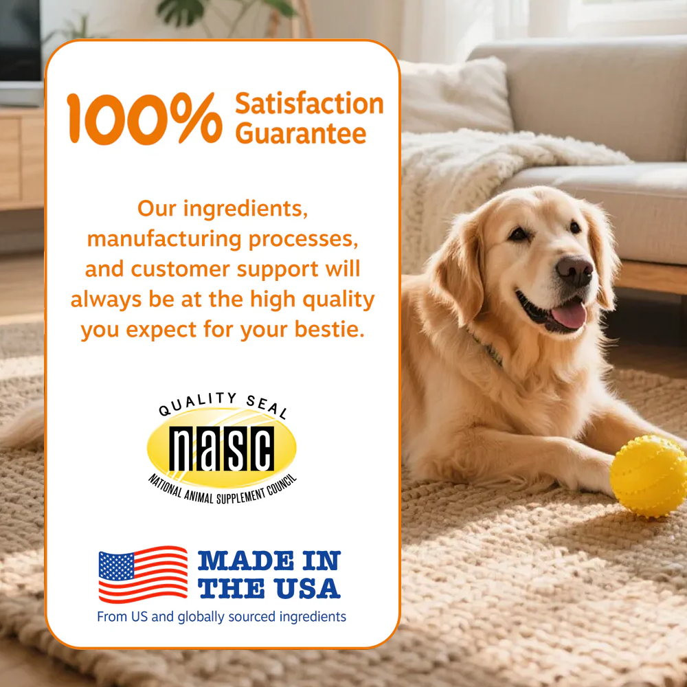 8-in-1 Multivitamin Bites for Dogs