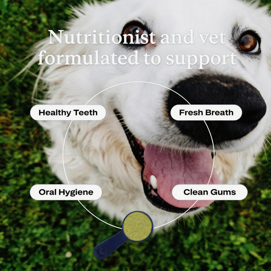FreshBite™ Dental Powder for Dogs