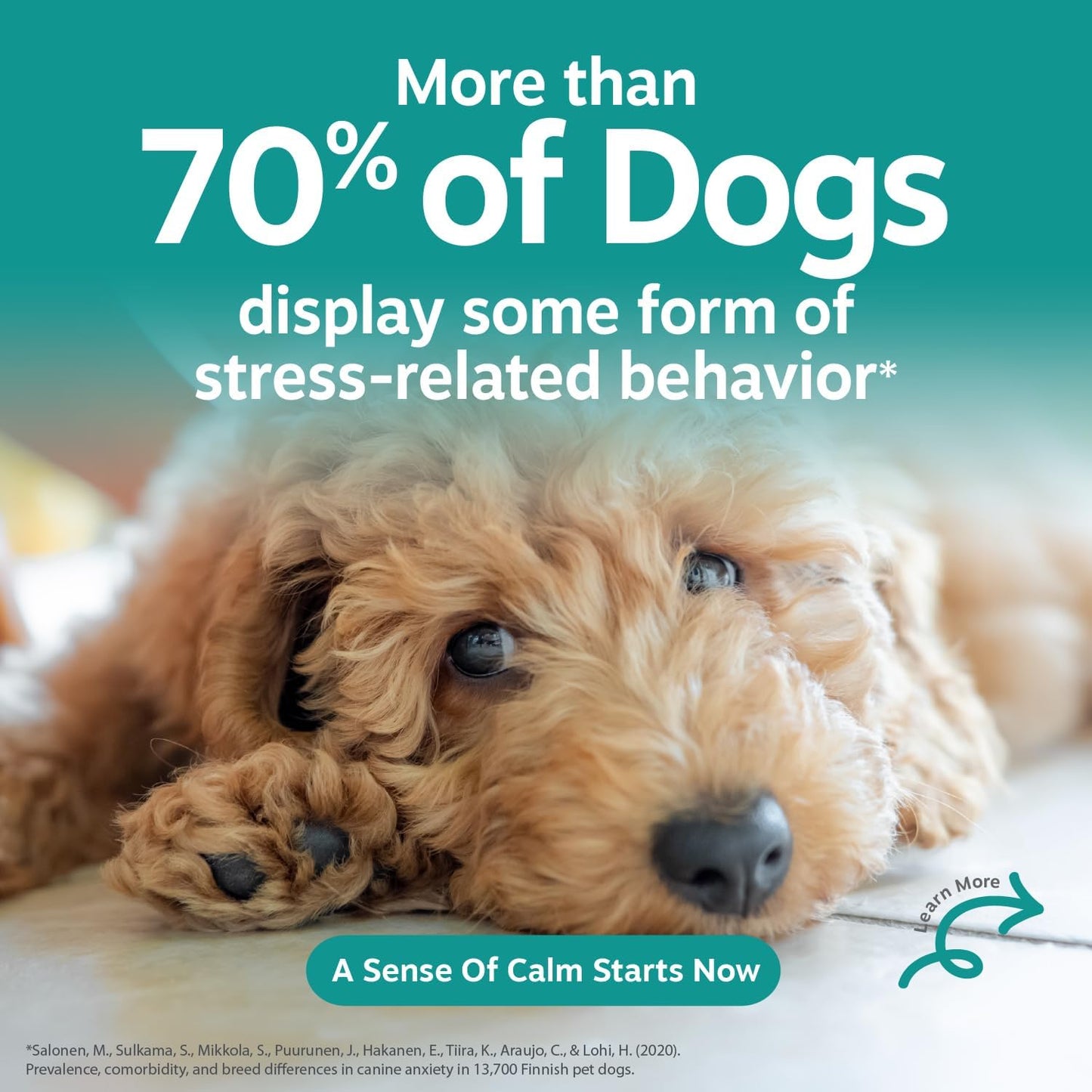 Advanced Calming Chews