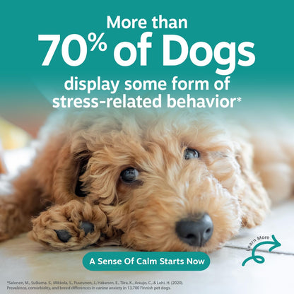 Advanced Calming Chews