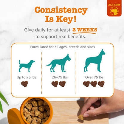 Advanced Calming Chews