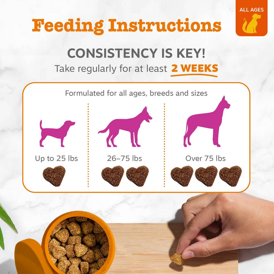 Skin & Coat Chews