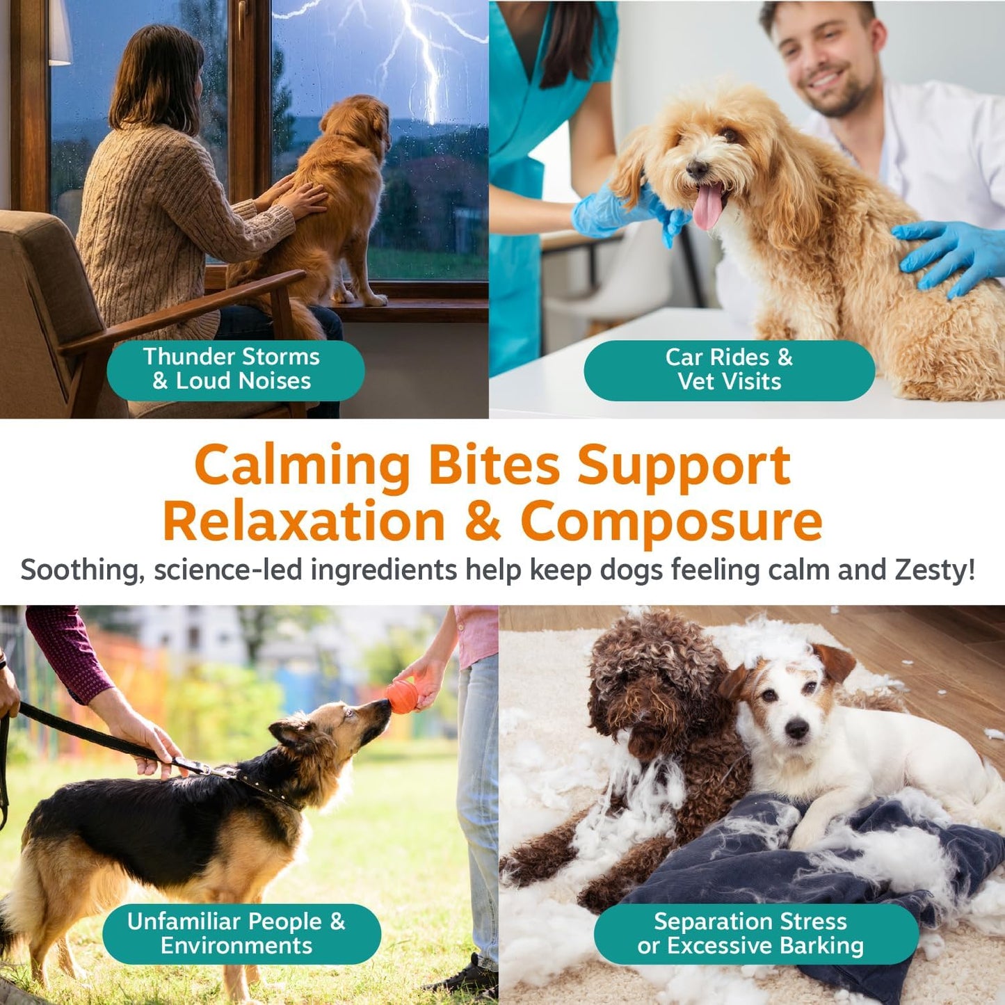 Advanced Calming Chews