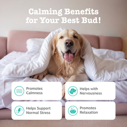 Advanced Calming Chews