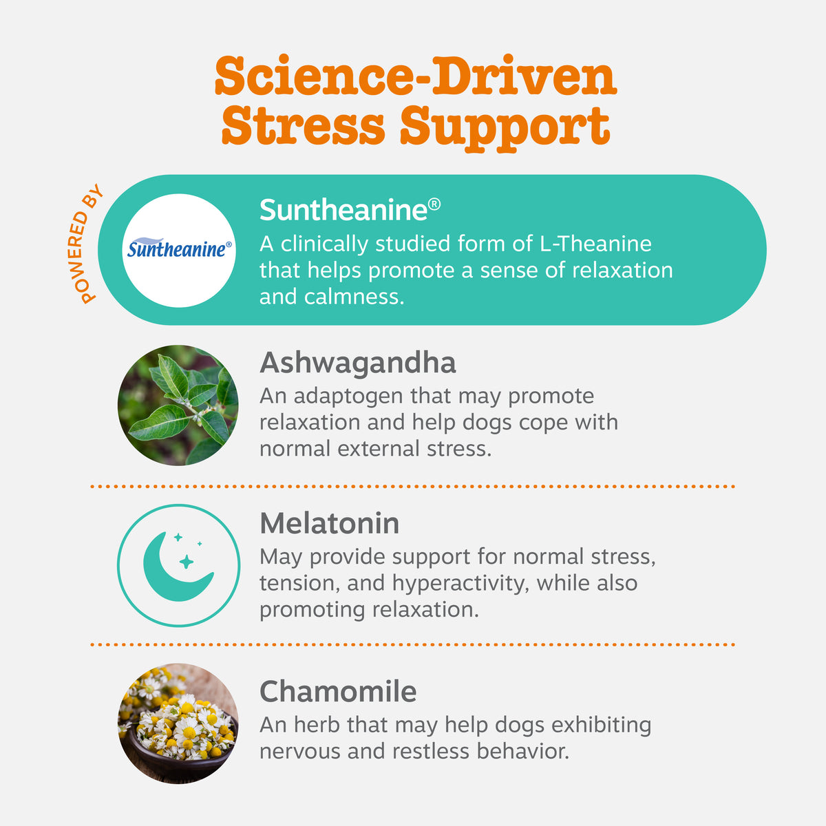 Advanced Calming Chews