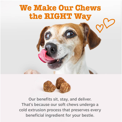 Probiotic Chews for Dogs