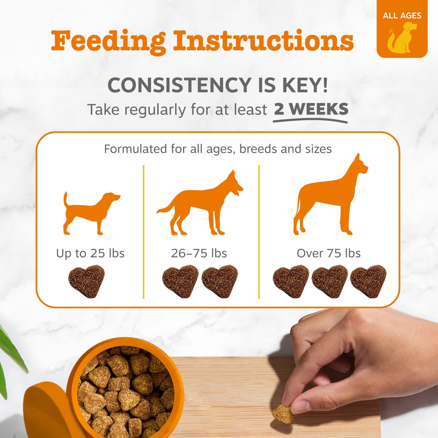 Probiotic Chews for Dogs