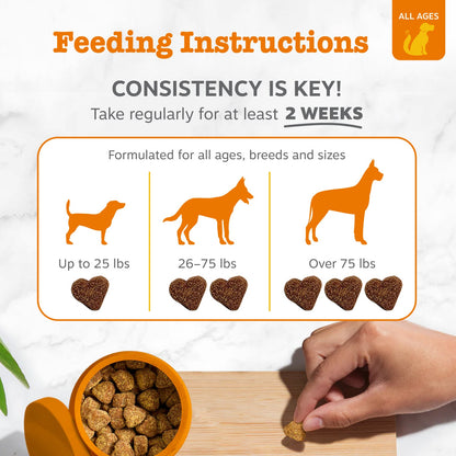 Probiotic Chews for Dogs