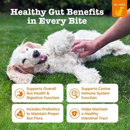 Probiotic Chews for Dogs