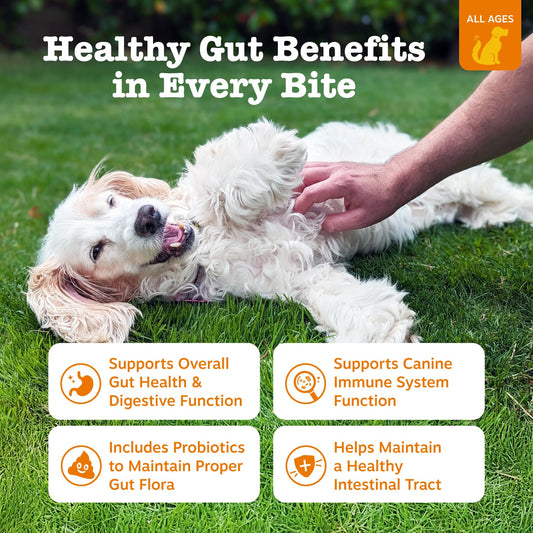 Probiotic Chews for Dogs
