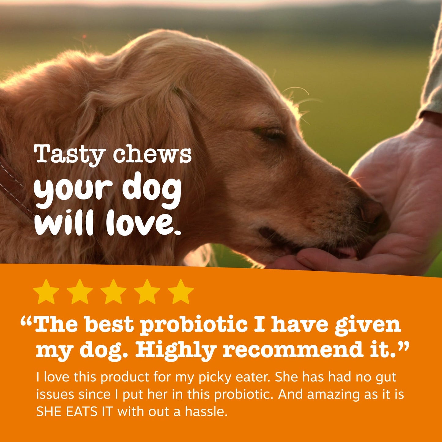 Probiotic Chews for Dogs