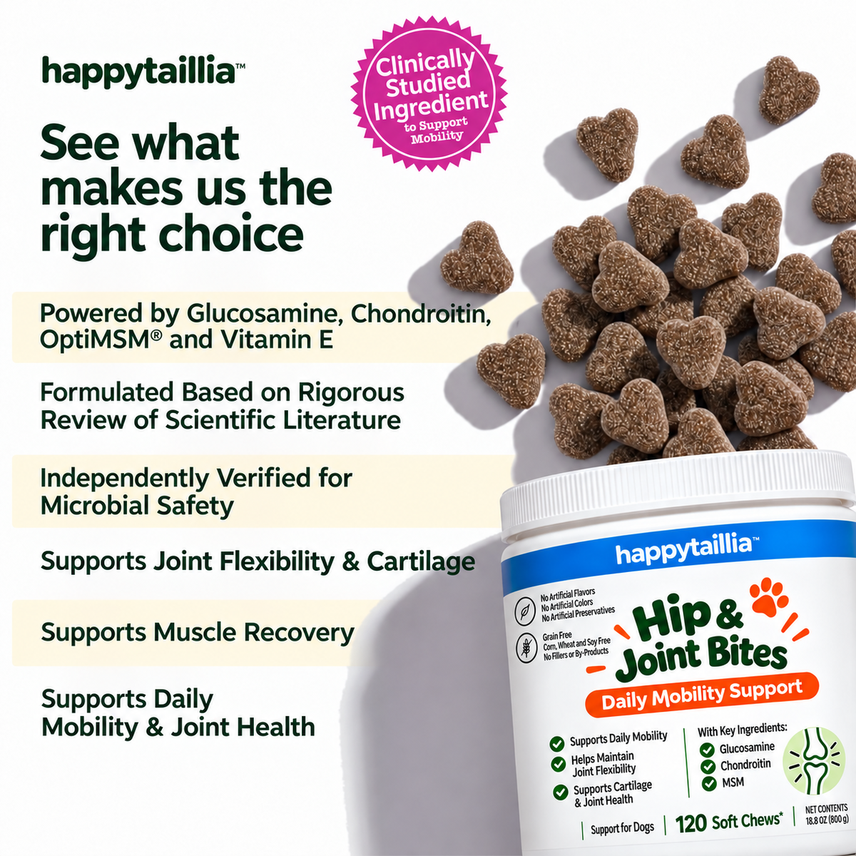 Hip & Joint Soft Chews – 120 Count